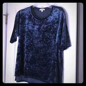 Blue velvet top